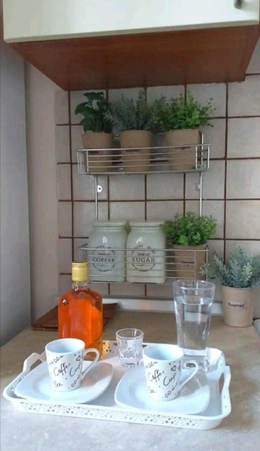 Villa Rosa Garden House コルフ島 エクステリア 写真