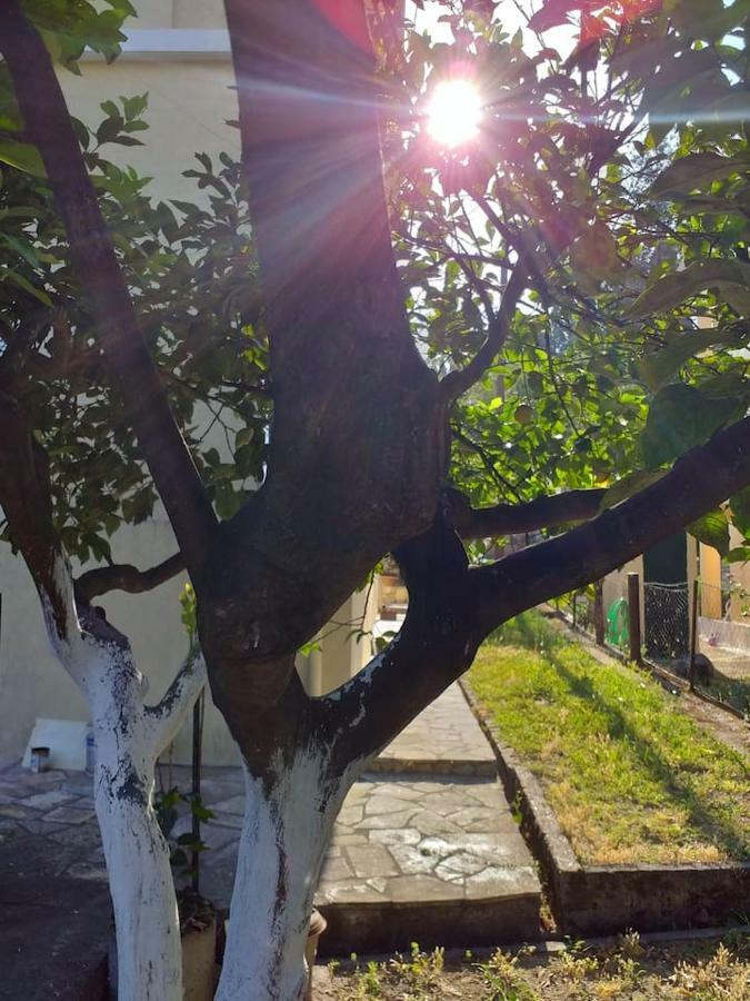 Villa Rosa Garden House コルフ島 エクステリア 写真